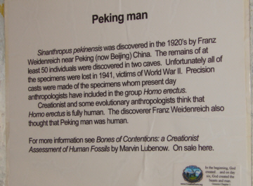 Peking-Man poster