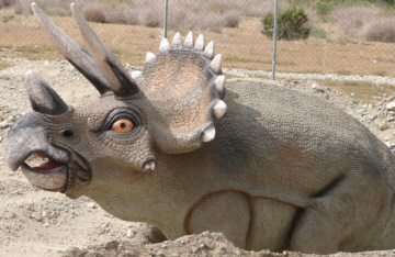 Triceratops