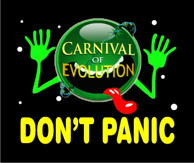 dontpanic_carnival