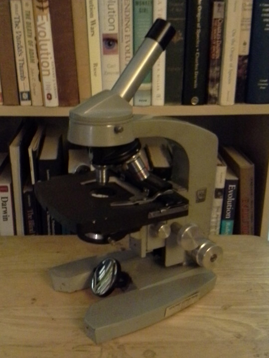 microscope