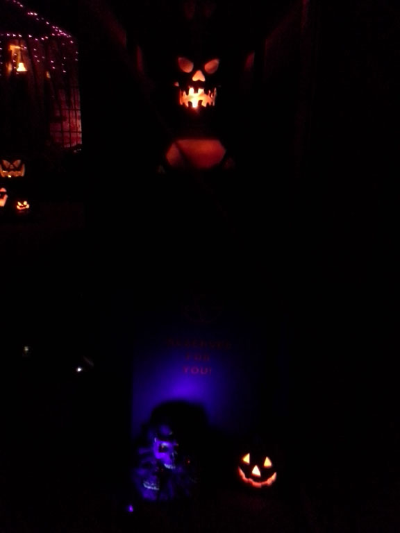 med_front-house_2014