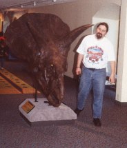 A Triceratops skull and myself at The Academy of Natural Sciences, in Philadelphia, PA (photo by Jon Wolff).