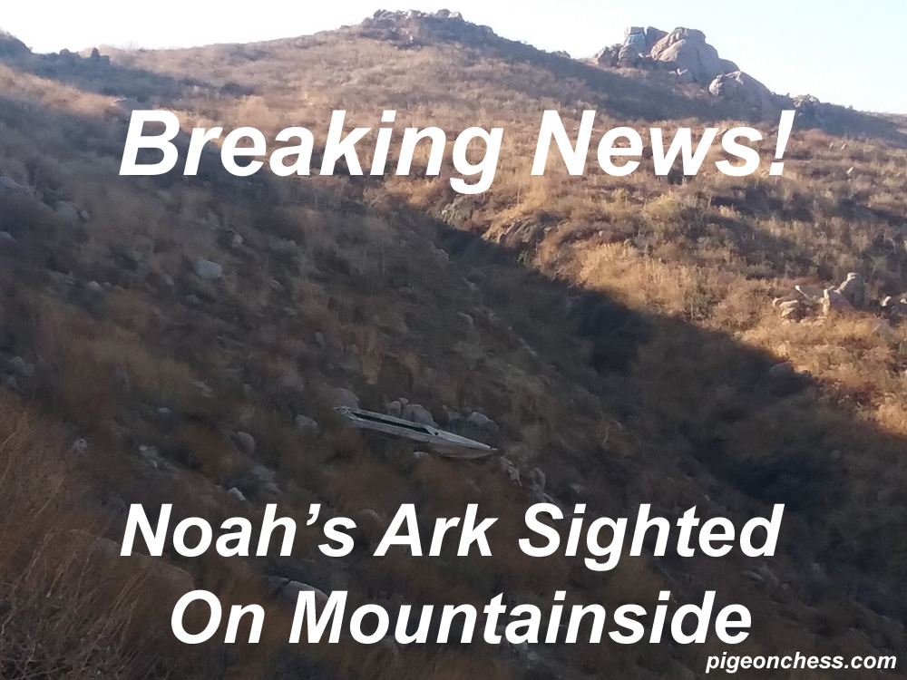 Noah's Ark Sighted
